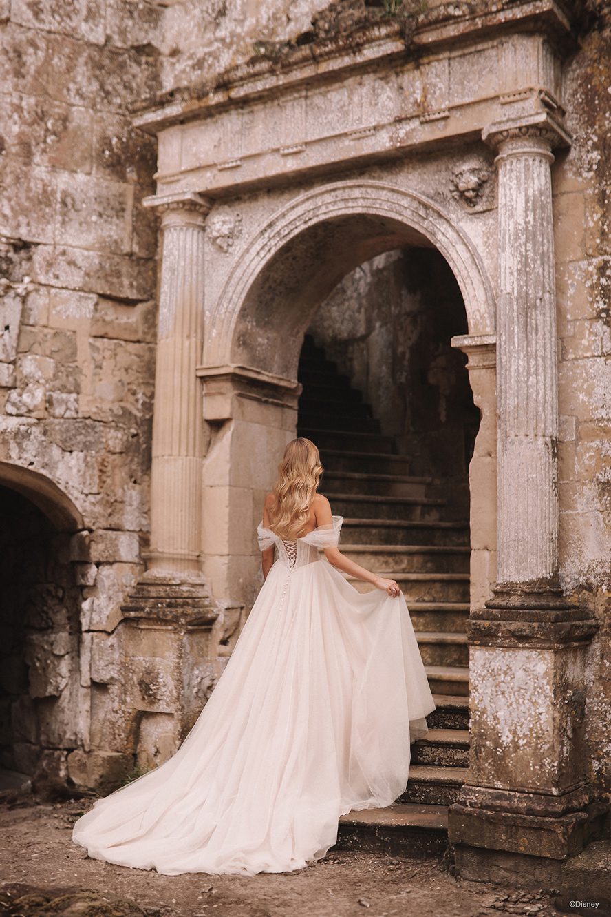 Aurora Gown
