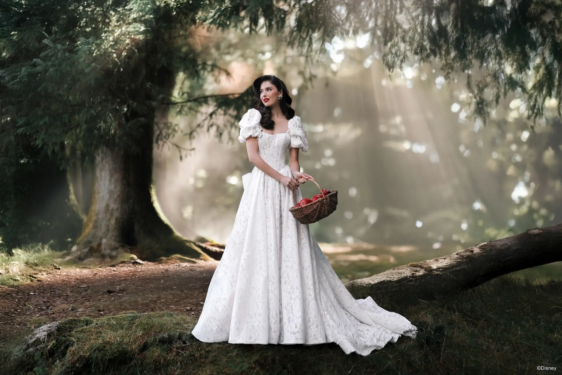 The 2026 Disney Fairy Tale Weddings Collection Snow White Inspired Allure D467 All Over Lace Basque Waist Ballgown Princess Wedding Dress