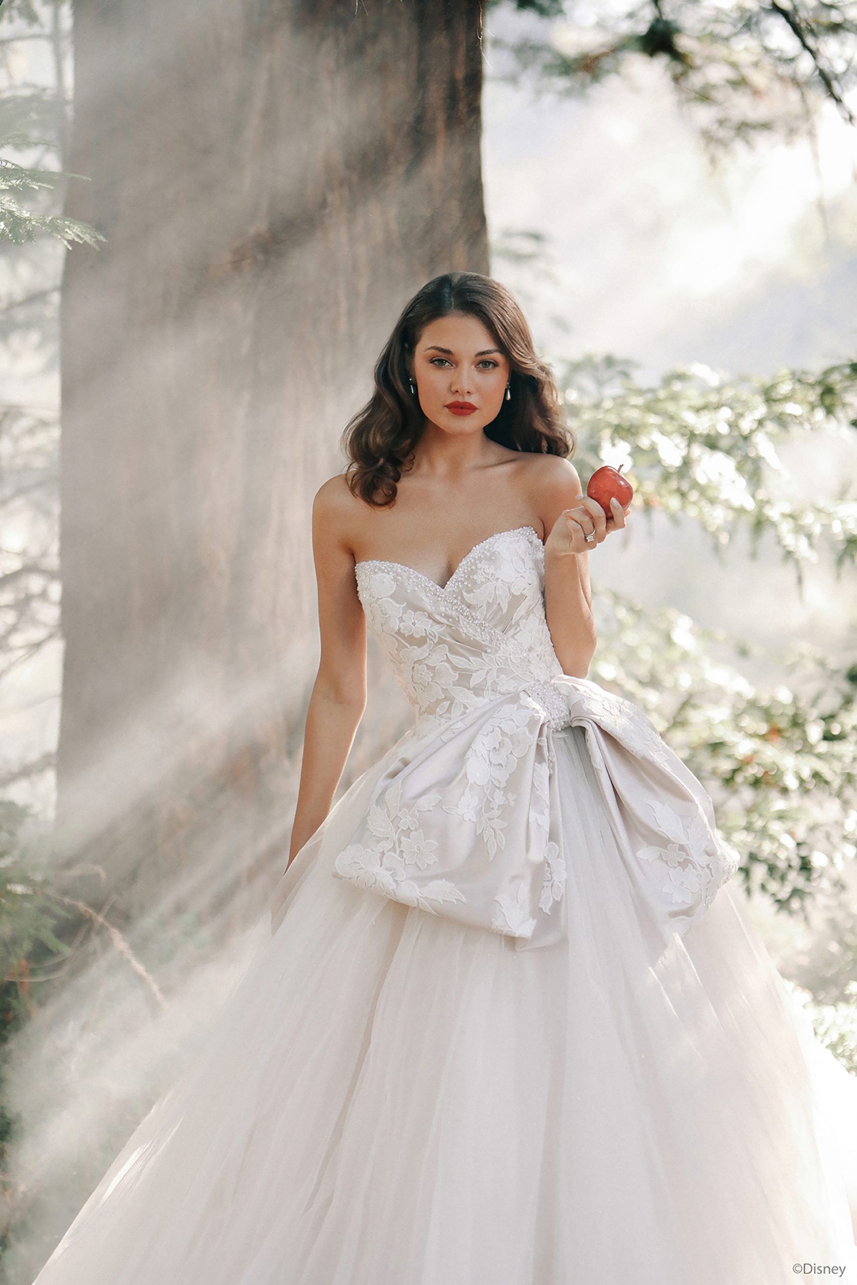 disney princess wedding dresses 2025 The Disney Fairy Tale Weddings 2025 Collection Debut Event in Denver