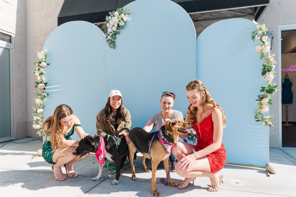 Pet Adoption Event with Wedding Dresses at The Bridal Collection in Denver Colorado
